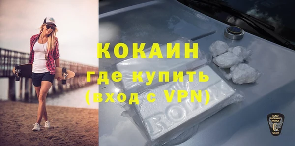 дмт Бородино