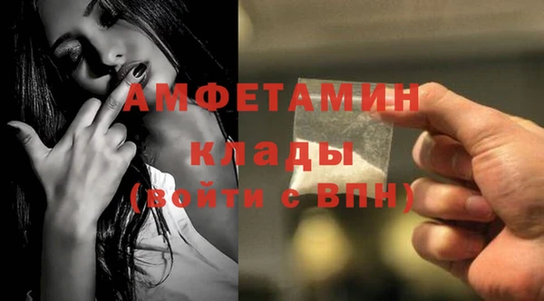 дмт Бородино