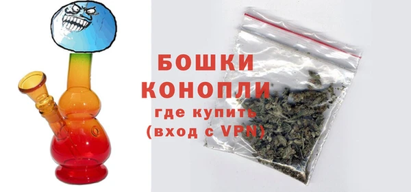 дмт Бородино