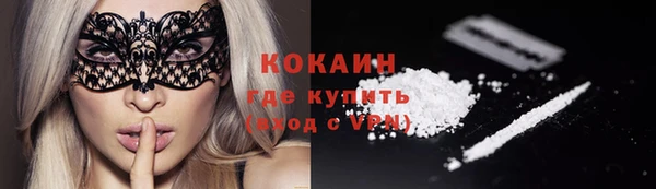 дмт Бородино