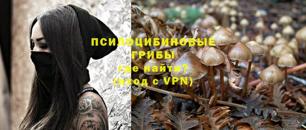 дмт Бородино