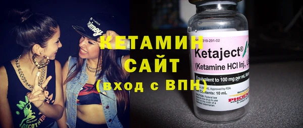 дмт Бородино