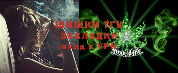 дмт Бородино